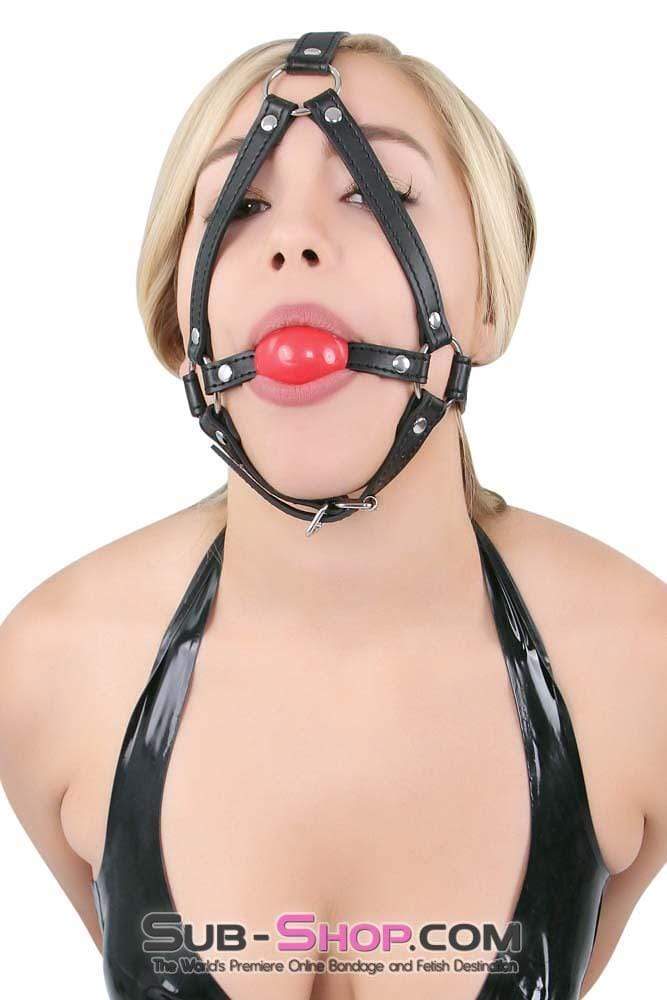 8993DL      Red Rubber Ballgag Bondage Trainer - SPECIAL OFFER! CHECKOUT SPECIAL OFFER   , Sub-Shop.com Bondage and Fetish Superstore