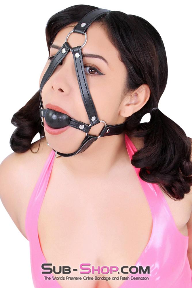 8994DL      Black Rubber Ballgag Bondage Trainer  - MEGA Deal Black Friday Blowout   , Sub-Shop.com Bondage and Fetish Superstore