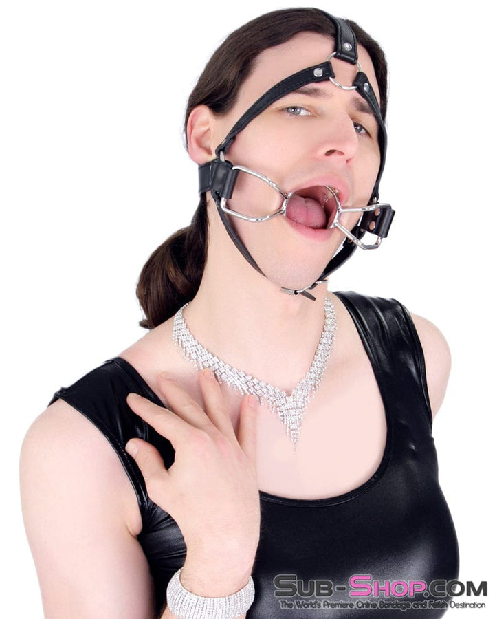 8997DL-SIS      French Kiss Sissy Slave Trainer Sissy Transformation Open Mouth Ring Gag Sissy   , Sub-Shop.com Bondage and Fetish Superstore