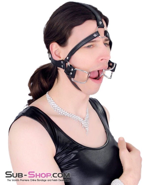 8997DL-SIS      French Kiss Sissy Slave Trainer Sissy Transformation Open Mouth Ring Gag Sissy   , Sub-Shop.com Bondage and Fetish Superstore