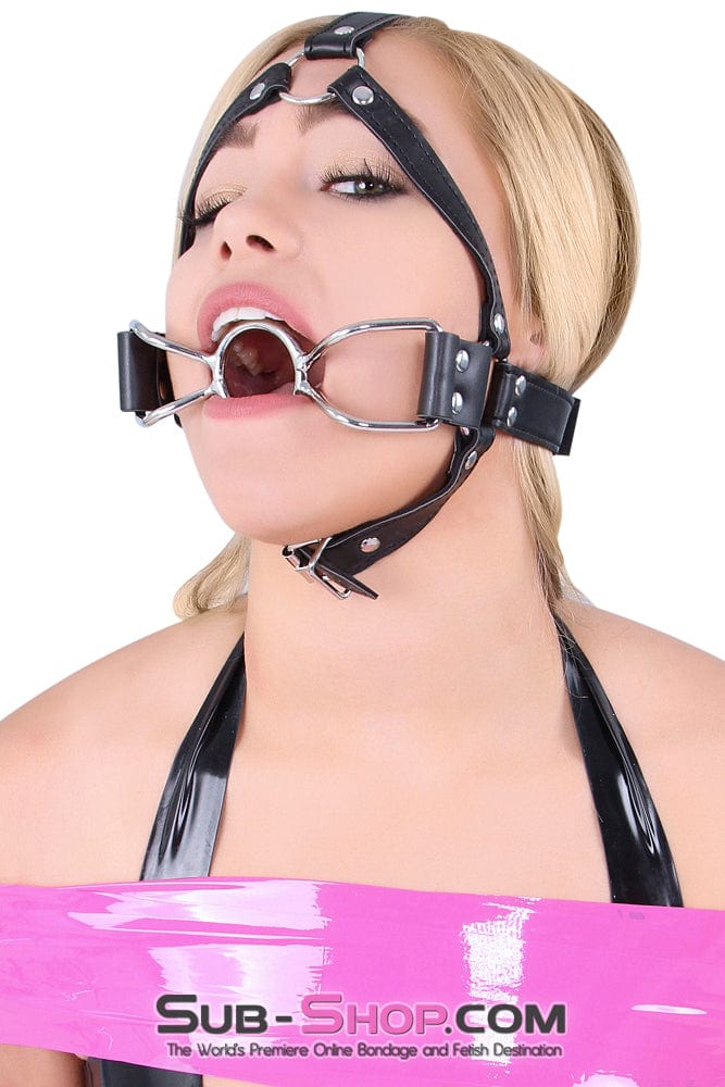 8997DL-SIS      French Kiss Sissy Slave Trainer Sissy Transformation Open Mouth Ring Gag Sissy   , Sub-Shop.com Bondage and Fetish Superstore