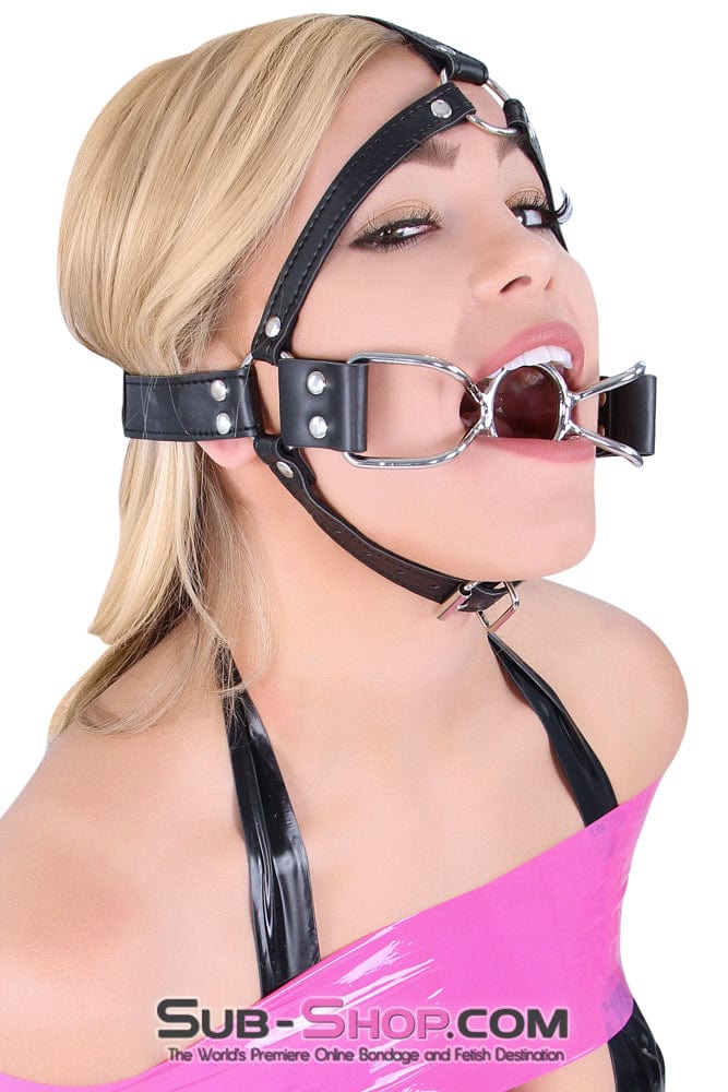 8997DL-SIS      French Kiss Sissy Slave Trainer Sissy Transformation Open Mouth Ring Gag Sissy   , Sub-Shop.com Bondage and Fetish Superstore