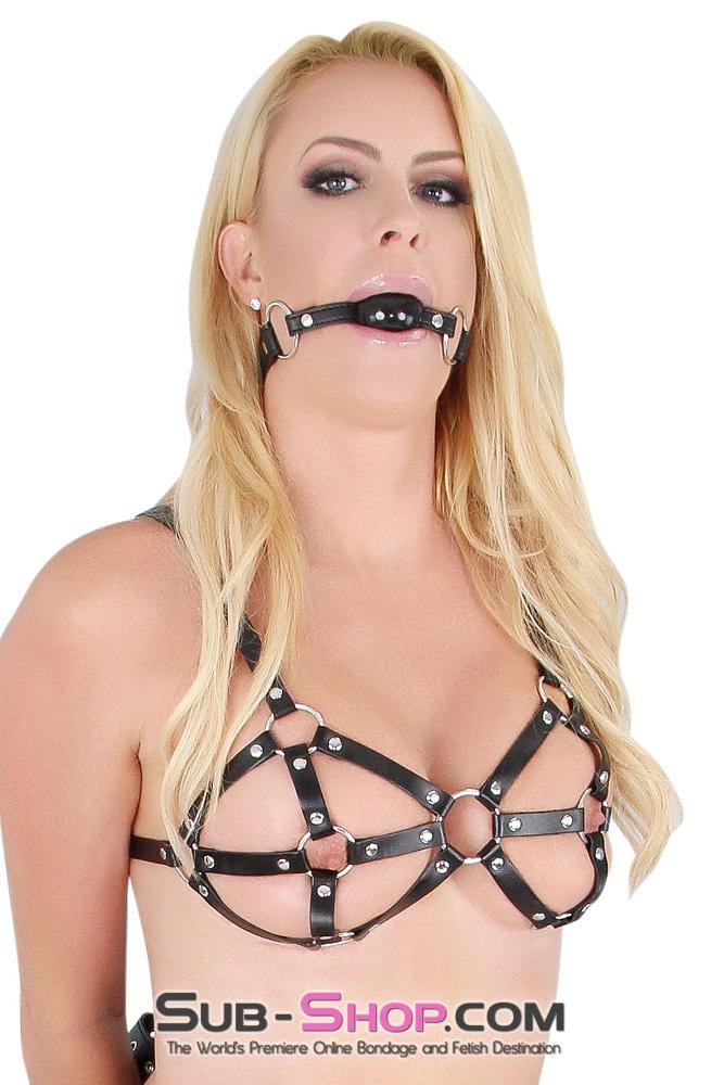 9897RS      Breast Cage Bondage Bra Breast Bondage   , Sub-Shop.com Bondage and Fetish Superstore