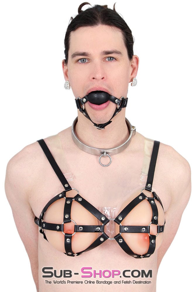 0634AR-SIS      Stainless Steel Lock Domme and Keys Sissy Boi Bondage Slave Collar Sissy   , Sub-Shop.com Bondage and Fetish Superstore