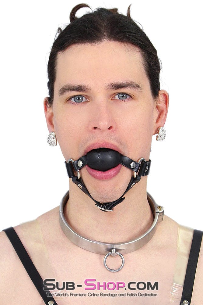 0634AR-SIS      Stainless Steel Lock Domme and Keys Sissy Boi Bondage Slave Collar Sissy   , Sub-Shop.com Bondage and Fetish Superstore